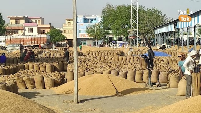 हरियाणा में तेज हुई एमएसपी पर गेहूं की खरीद. (Photo-Om Prakash/Kisan Tak).
