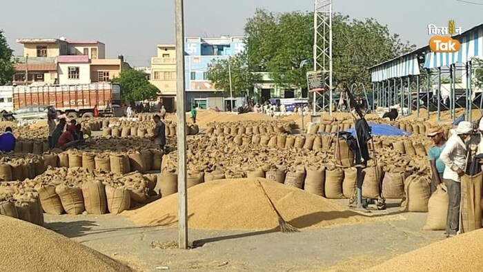 इस साल अब तक कितनी हुई है गेहूं खरीद (Photo-Om Prakash/Kisan Tak).