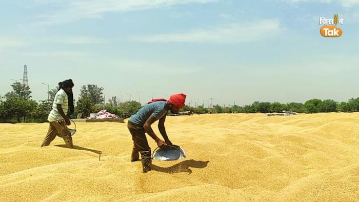 अनाज को स्टोर करने से पहले वैज्ञानिकों की सलाह पर दें ध्यान (Photo-Kisan Tak).