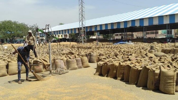 गेहूं खरीद में हरियाणा को केंद्र की ओर से किसानों को राहत