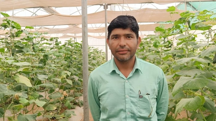 किसान उद्यान विभाग की योजनाओं में 15 मई तक आवेदन कर सकते हैं. फाइल फोटो- By Arrengment