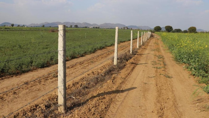 चित्तौड़गढ़ के किसान नंदलाल का तारबंदी के बाद खेत. फोटो- By Arrengment