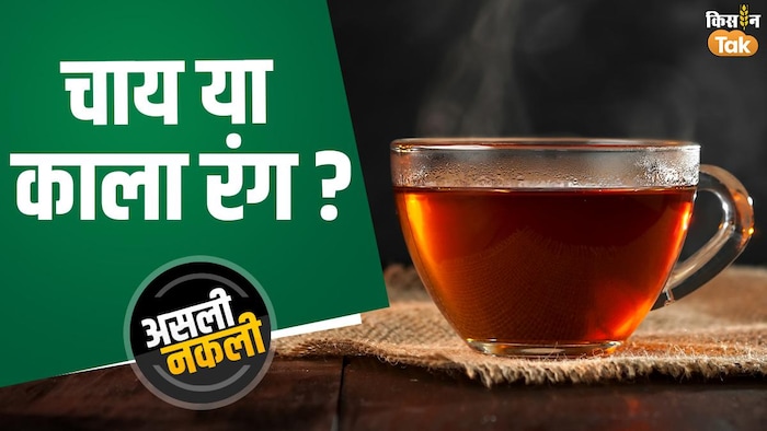 कहीं मिलावटी चाय तो नहीं पी रहे आप?