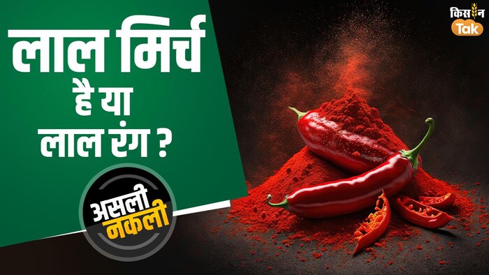 कहीं आप मिलावटी लाल मिर्च तो नहीं खा रहे