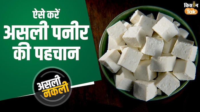 जानिए असली और नकली पनीर में फर्क