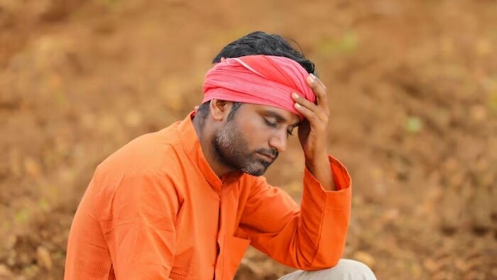 मौसम के उतार चढ़ाव ने किसानों की बढ़ाई चिंता, फोटो: साभर, फ्रीपिक