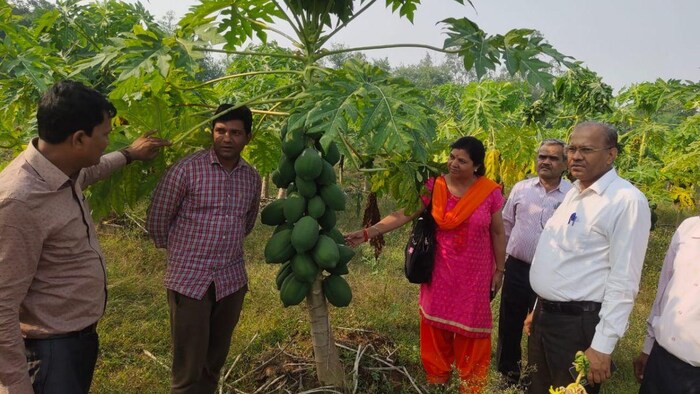 झांसी में किसान को बागवानी फसलों की ट्रेनिंग देते अधिकारी एवं वैज्ञानिक, फोटो: किसान तक