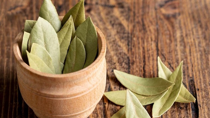 तेज पत्ता की खेती से किसानों को मिल सकता है अच्छा मुनाफा