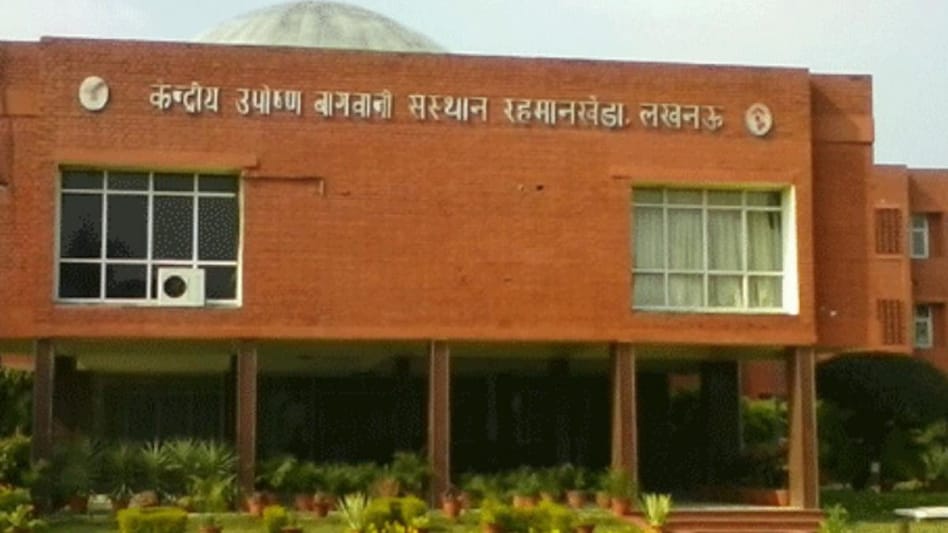 ICAR-CISH: केंद्रीय उपोष्ण बागवानी संस्थान के 40 साल... बागवानी को दिखाई नई राह ICAR-CISH: केंद्रीय उपोष्ण बागवानी संस्थान के 40 साल... बागवानी को दिखाई नई राह