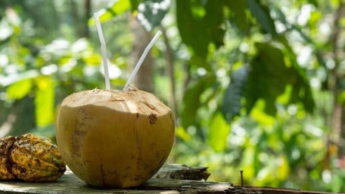 नारियल में पानी ज्यादा है या कम, फोटो साभार: freepik