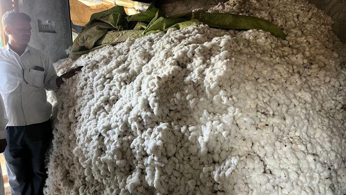 किसान घरों में स्टॉक किये हुए कपास को अब बेच रहे हैं ( photo kisan tak)