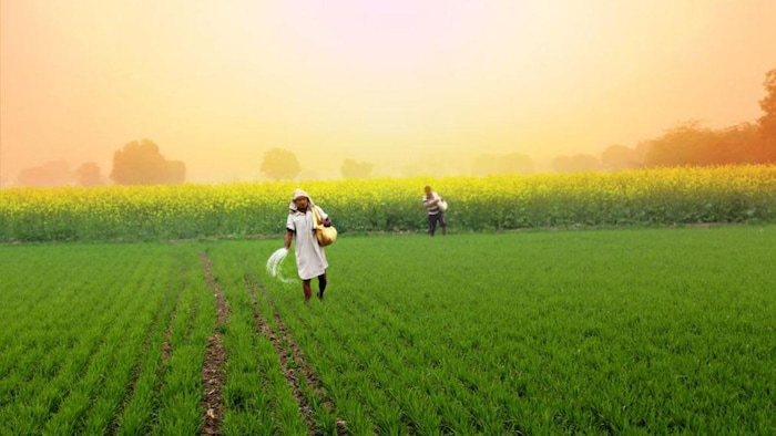 IMD द्वारा किसानों के लिए दी गई जरूरी सलाह