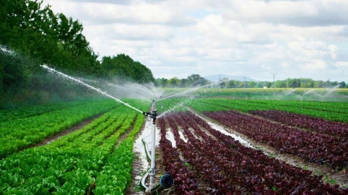 इस राज्य के किसानों की सिंचाई की परेशानी होगी खत्म, फोटो साभार: freepik