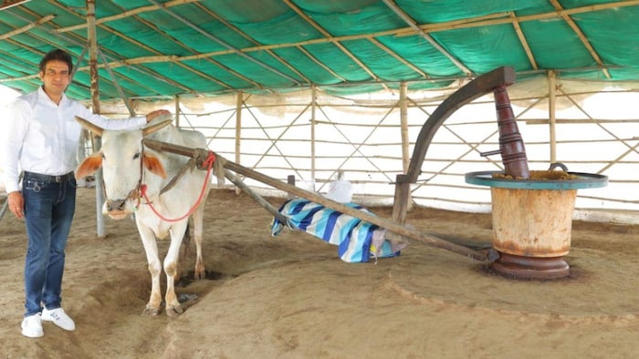 देसी ‘कोल्हू’ से तेल तैयार कर पुष्पेंद्र विदेशों में कर रहे हैं सप्लाई