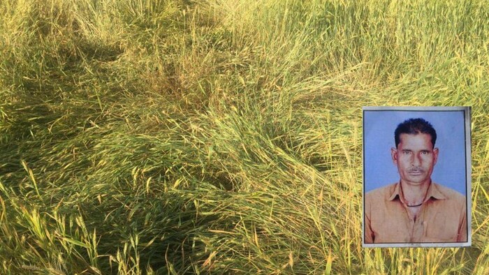 यूपी के झांसी में किसान ने फसल मौसम की भेंट चढ़ने के बाद कर ली आत्महत्या- फाइल फोटो (इंसर्ट में मृतक किसान)