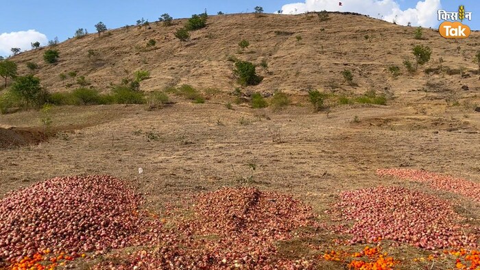 आखिर प्याज फेंकने पर क्यों मजबूर हुए किसान? (Photo-Sarita Sharma/ Kisan Tak)