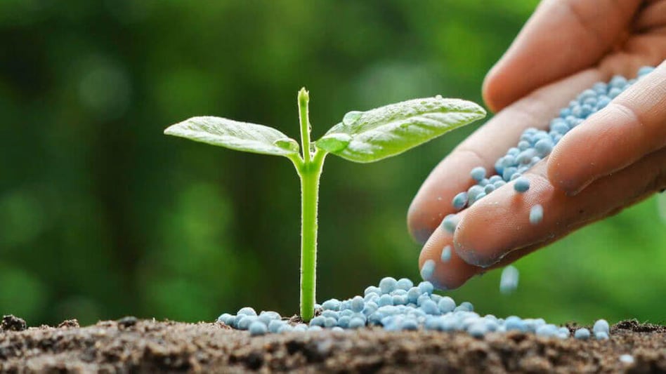 Fertilizer News: अब किसानों को नहीं बेच पाएंगे महंगी खाद, फर्जीवाड़ा किया तो भरना होगा जुर्माना Fertilizer News: अब किसानों को नहीं बेच पाएंगे महंगी खाद, फर्जीवाड़ा किया तो भरना होगा जुर्माना