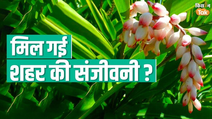 औद्योगिक अपशिष्ट को हरित विधि से उपयोगी बनाने का फॉर्मूला खोजने का दावा. Graphics: संदीप भारद्वाज