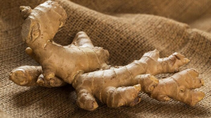 रिकॉर्ड ऊंचाई पर पहुंचे अदरक के दाम