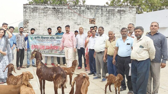 बकरी पालकों को दिया गया प्रशिक्षण