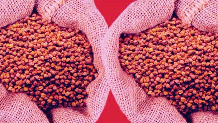 एमएसपी पर कितनी हुई चने की खरीद (Photo-NAFED).