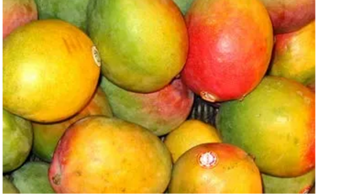 गुलाब ख़ास आम