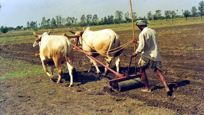 किसानों के लिए सिबिल स्कोर की शर्त पर देवेंद्र फडणवीस ने बड़ा बयान दिया है