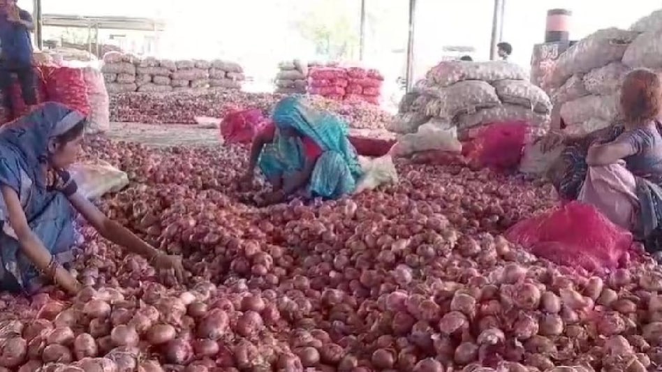 बारिश से प्याज में वायरस का अटैक, लागत तो दूर... ढुलाई का खर्च भी नहीं निकाल रहे किसान बारिश से प्याज में वायरस का अटैक, लागत तो दूर... ढुलाई का खर्च भी नहीं निकाल रहे किसान
