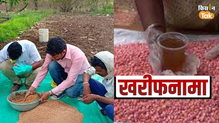 बुुवाई से पहले करें बीजों का उपचार- फोटो-किसान तक