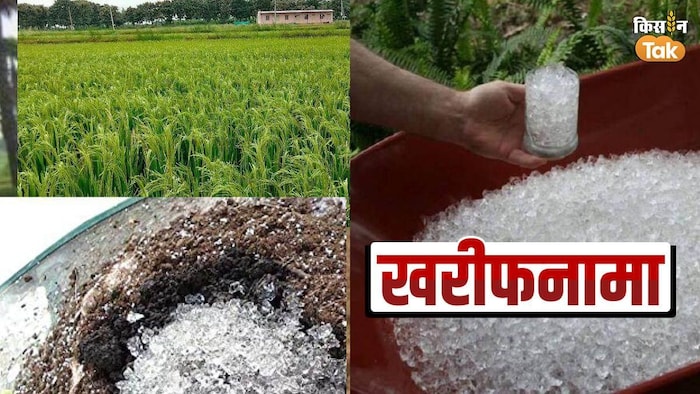 हाइड्रोजेल से नहीं सूखेगी फसल, कम खर्च में दूर होगा फसलों का जल संकट- फोटो किसान तक