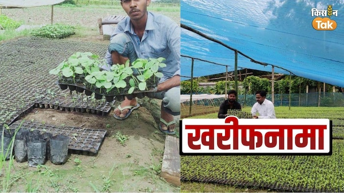 स्वस्थ नर्सरी पौध तैयार करने के लिए प्रो- ट्रे तकनीक सबसे कारगर- फोटो- किसान तक