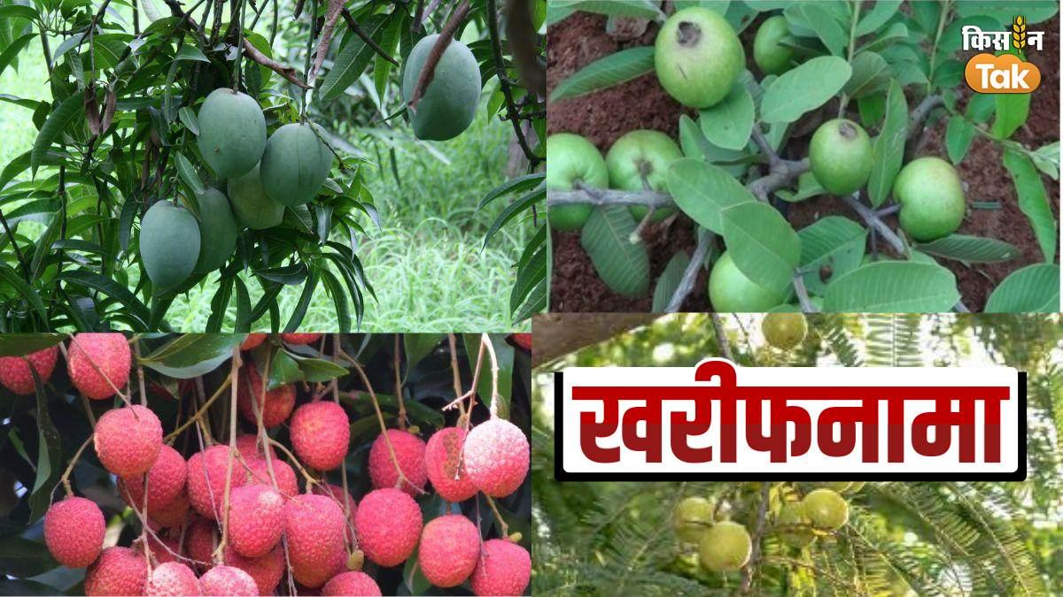 Kharif Special: इस खरीफ सीजन लगाना है फलों का बाग! सावधानी के साथ करें तैयारी