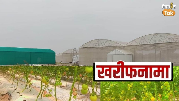 शेड नेट और पॉली हाउस लगाकर दस गुना तक पैदावार बढ़ाएं किसान -फोटो किसान तक