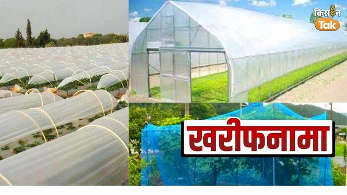 फसलों को मौसम की मार और कीटों से इस तकनीक से बचाएं किसान, Photo Kisan Tak