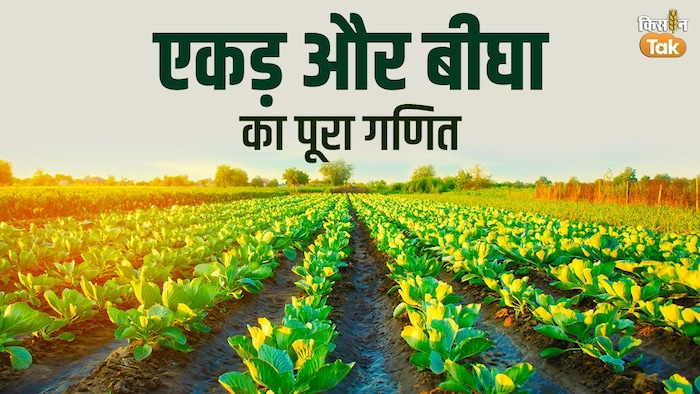 कितने एकड़ में कितने बीघा, जान लीजिए हर राज्य से जुड़ी बात