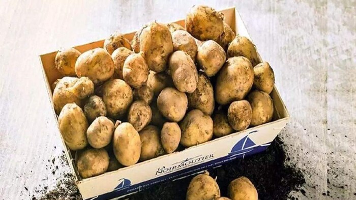 Le Bonnotte Potato: सोने के भाव बिक रहा है यह आलू