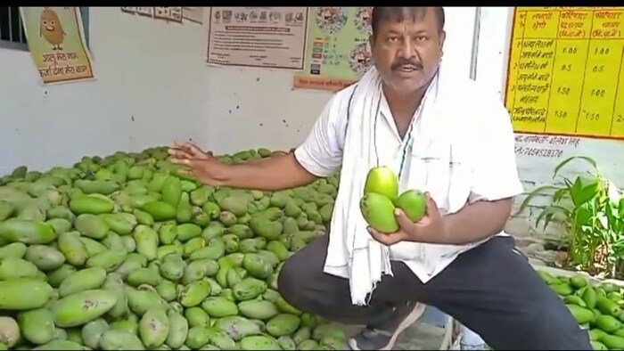 आम की फसल पर मौसम की मार