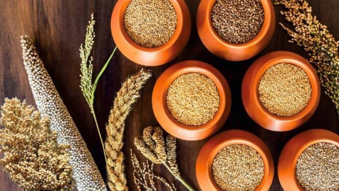 सरकारी स्कूल में परोसा जाएगा मोटे अनाज का खाना