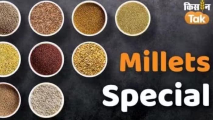 किस राज्य से आता है सबसे ज्यादा मोटा अनाज