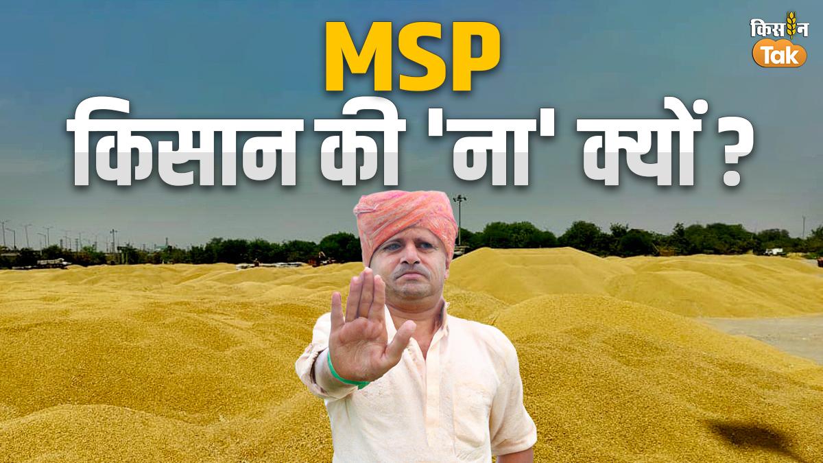 कितने किसानों ने एमएसपी पर बेची फसल (Photo-Kisan Tak).