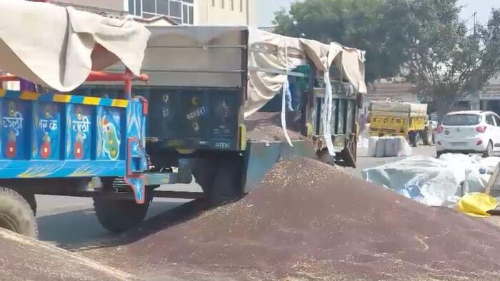 चरखी दादरी में सरसों बेचने के लिए किसानों की लंबी लाइनें लग रही हैं