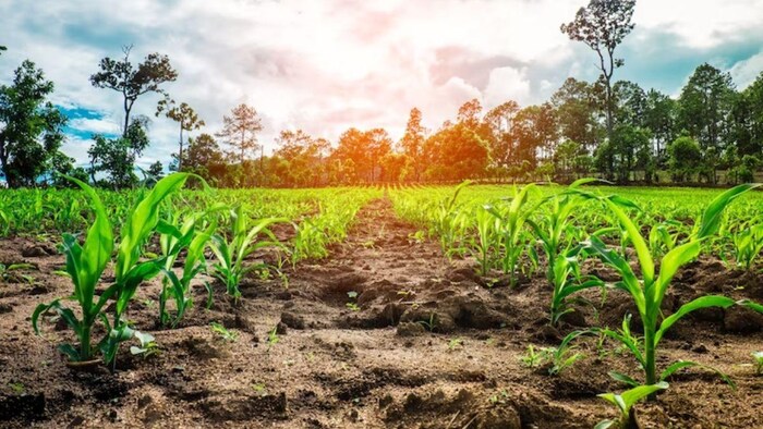 किसान घर पर बना रहें जीवामृत, फोटो साभार: freepik