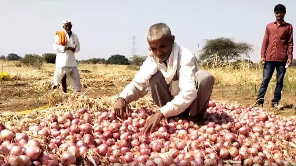 खरगोन में प्याज किसानों की हालत दयनीय हो गई है