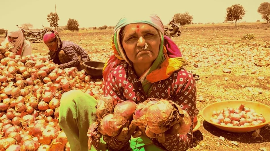 Crop Damage: बेमौसम बारिश और ओलावृष्टि से सैकड़ों टन प्याज बर्बाद, लागत निकालना भी मुश्किल Crop Damage: बेमौसम बारिश और ओलावृष्टि से सैकड़ों टन प्याज बर्बाद, लागत निकालना भी मुश्किल
