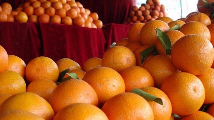 हिमाचल प्रदेश में 1,800 हेक्टेयर में किया जायेगा संतरा उत्पादन