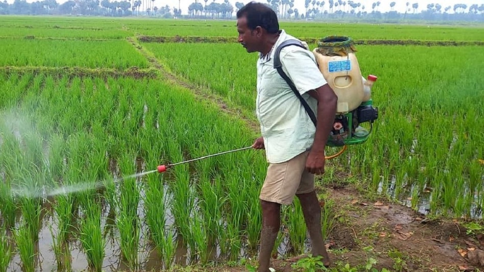 जैविक खेती के बढ़ते दायरे ने बदल दी रासायनिक कीटनाशक बनाने वाली इस कंपनी की रणनीति जैविक खेती के बढ़ते दायरे ने बदल दी रासायनिक कीटनाशक बनाने वाली इस कंपनी की रणनीति