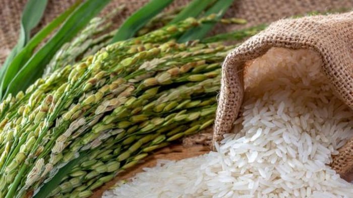 90 से 100 दिनों में तैयार होने वाली धान की किस्में