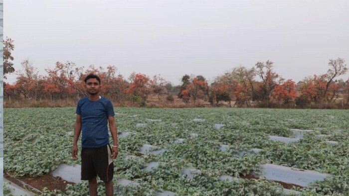 सिंचाई की सुविधा से सुधरेगी महुआटांड़ की तस्वीर फोटोः किसान तक