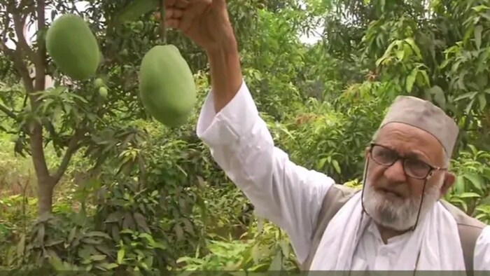 सचिन तेंदुलकर के नाम पर विकसित आम की किस्म