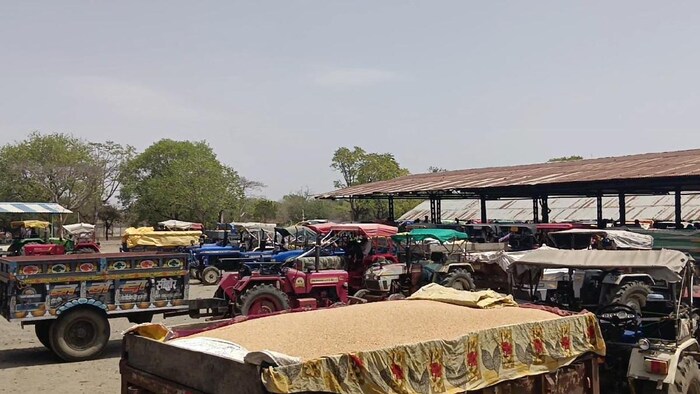 गेहूं की बिक्री बढ़ाने के लिए इटावा प्रशासन ने कई पहल की है